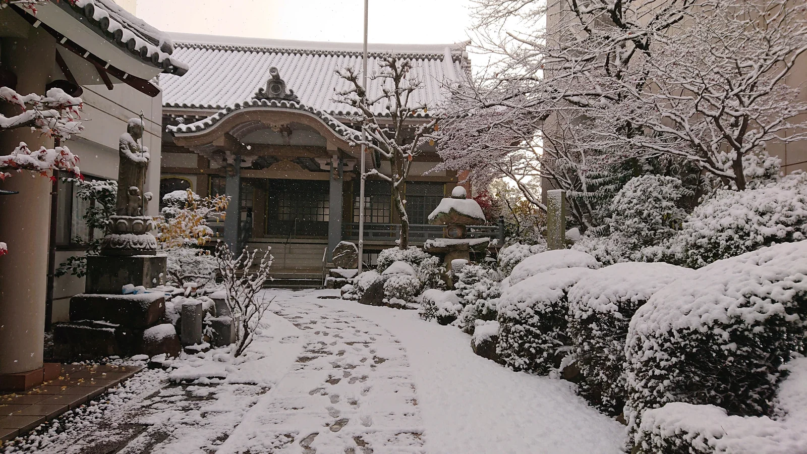 Snow-covered garden in winter